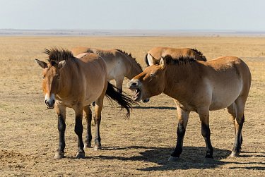 Возрождаем традиции туристических походов